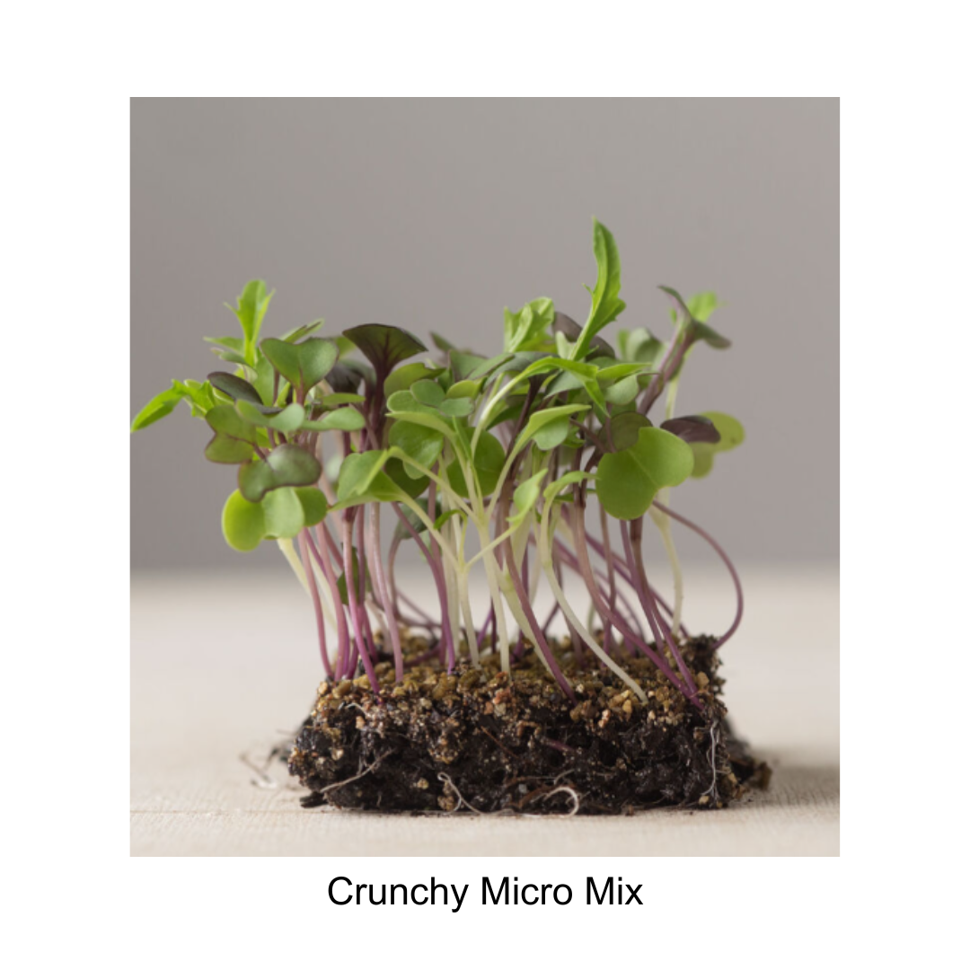 Crunchy Micro Mix