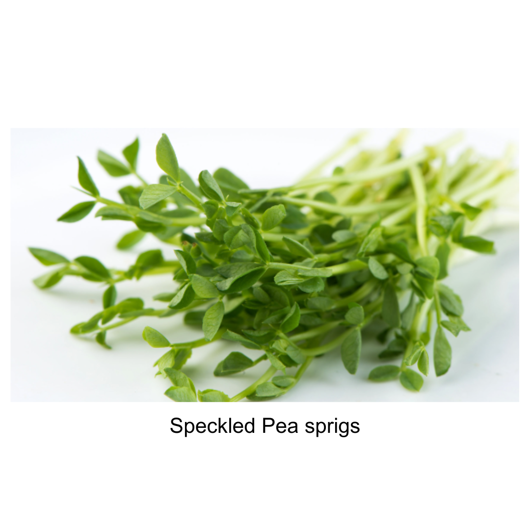 Speckled Pea Shoots
